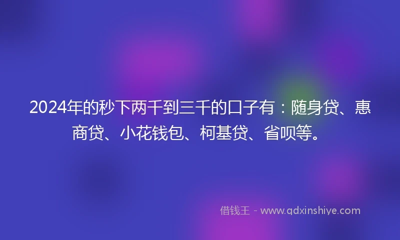2024年的秒下两千到三千的口子有：随身贷、惠商贷、小花钱包、柯基贷、省呗等。