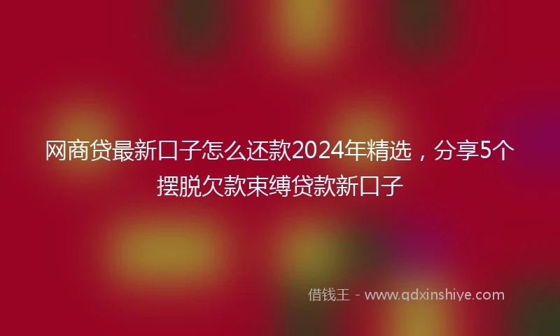网商贷最新口子怎么还款2024年精选，分享5个摆脱欠款束缚贷款新口子