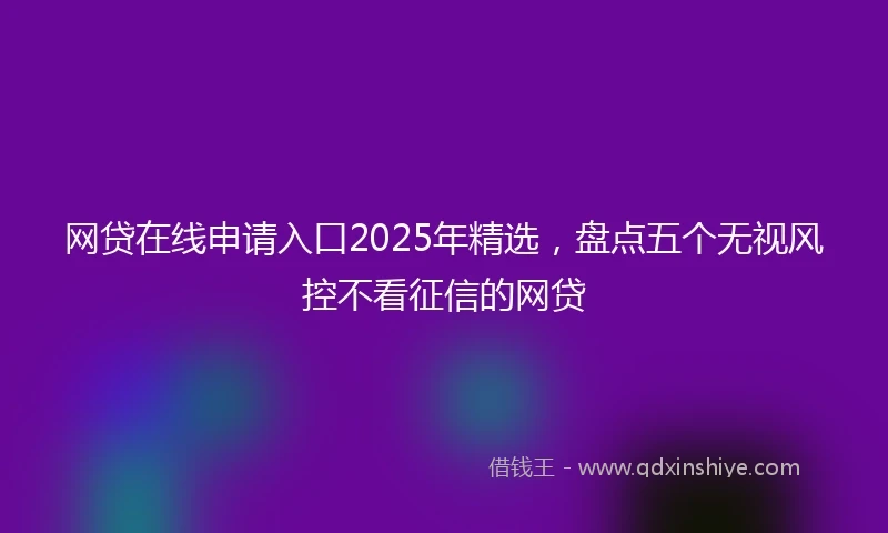 网贷在线申请入口2025年精选，盘点五个无视风控不看征信的网贷