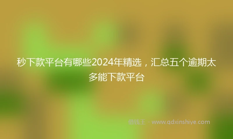 秒下款平台有哪些2024年精选，汇总五个逾期太多能下款平台