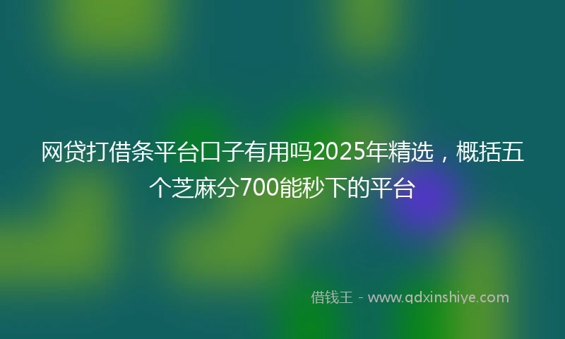网贷打借条平台口子有用吗2025年精选，概括五个芝麻分700能秒下的平台