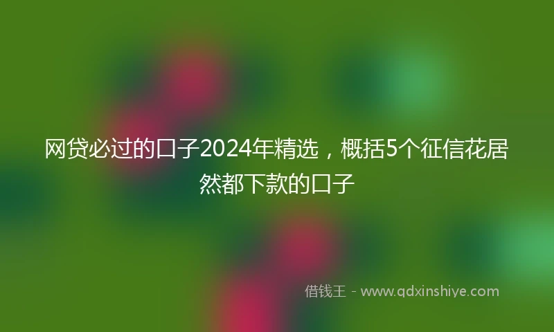 网贷必过的口子2024年精选，概括5个征信花居然都下款的口子
