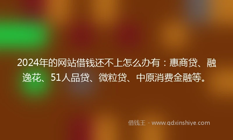 2024年的网站借钱还不上怎么办有：惠商贷、融逸花、51人品贷、微粒贷、中原消费金融等。