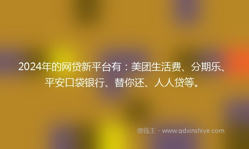 2024年的网贷新平台有：美团生活费、分期乐、平安口袋银行、替你还、人人贷等。