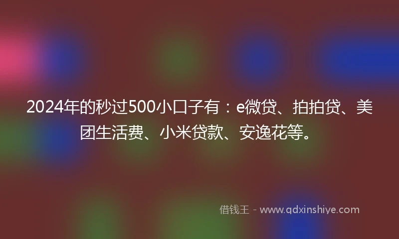 2024年的秒过500小口子有：e微贷、拍拍贷、美团生活费、小米贷款、安逸花等。