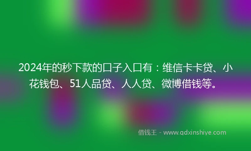 2024年的秒下款的口子入口有：维信卡卡贷、小花钱包、51人品贷、人人贷、微博借钱等。