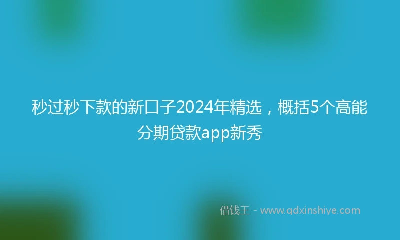 秒过秒下款的新口子2024年精选,概括5个高能分期贷款app新秀
