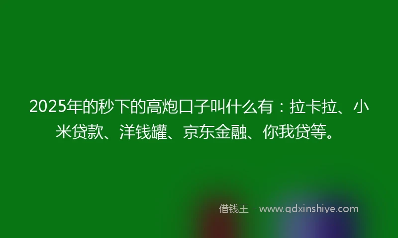 2025年的秒下的高炮口子叫什么有：拉卡拉、小米贷款、洋钱罐、京东金融、你我贷等。