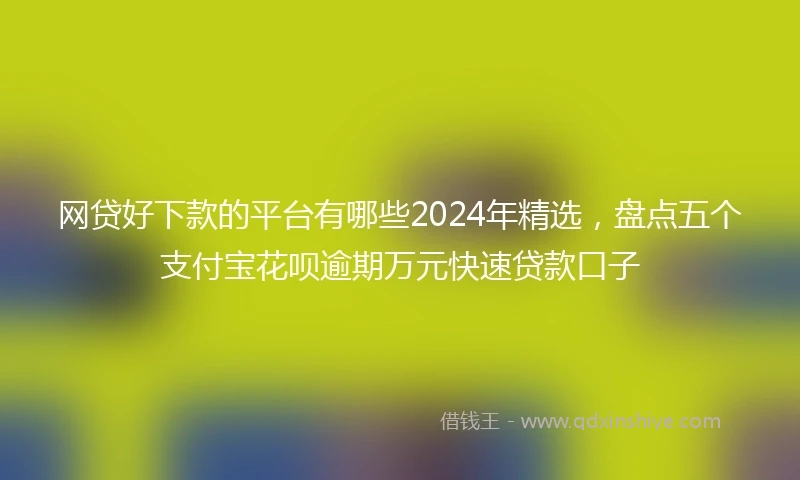网贷好下款的平台有哪些2024年精选，盘点五个支付宝花呗逾期万元快速贷款口子