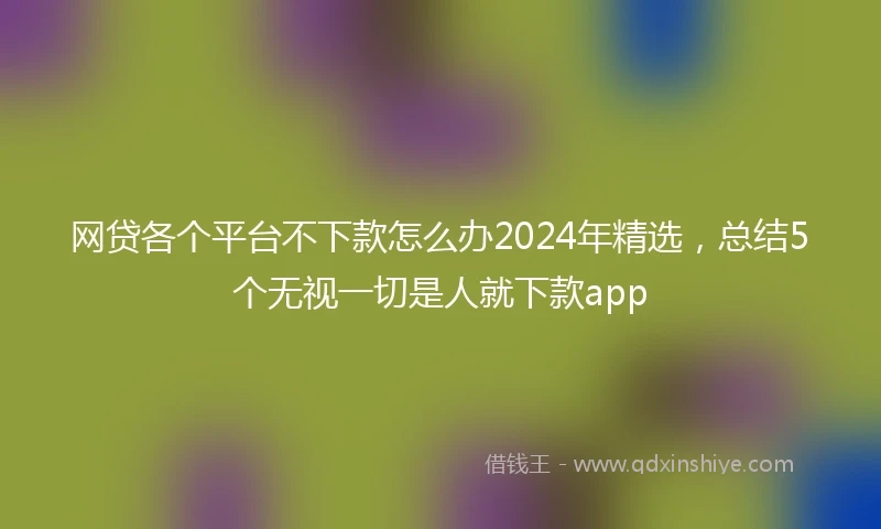 网贷各个平台不下款怎么办2024年精选，总结5个无视一切是人就下款app