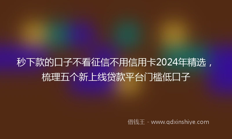 秒下款的口子不看征信不用信用卡2024年精选，梳理五个新上线贷款平台门槛低口子