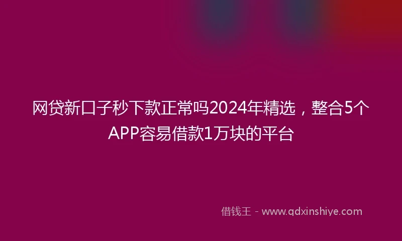 网贷新口子秒下款正常吗2024年精选，整合5个APP容易借款1万块的平台