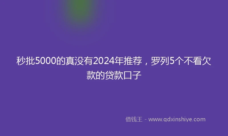 秒批5000的真没有2024年推荐，罗列5个不看欠款的贷款口子