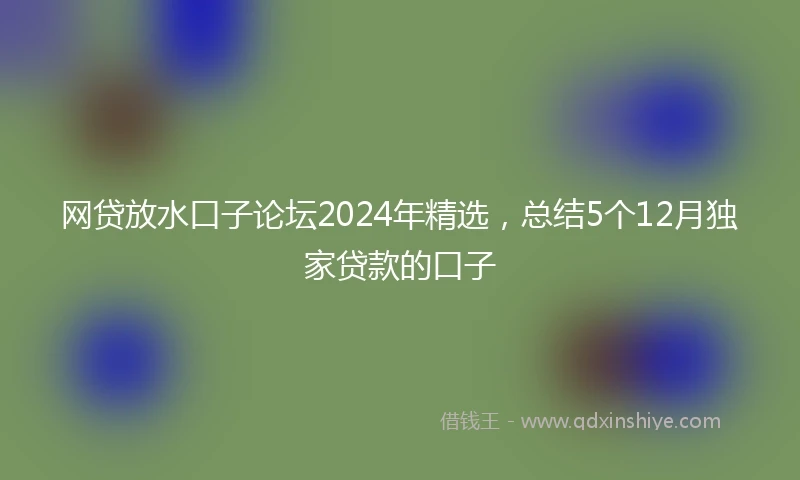 网贷放水口子论坛2024年精选，总结5个12月独家贷款的口子