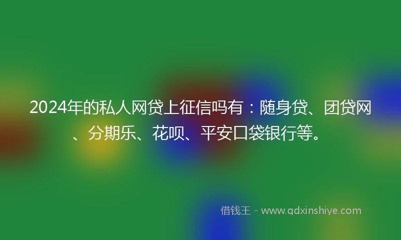 2024年的私人网贷上征信吗有：随身贷、团贷网、分期乐、花呗、平安口袋银行等。