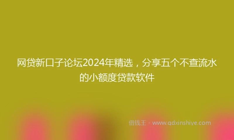 网贷新口子论坛2024年精选，分享五个不查流水的小额度贷款软件