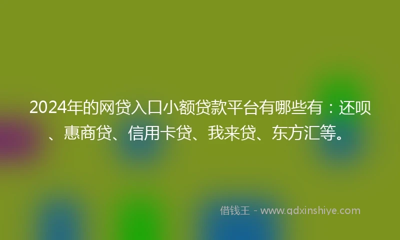2024年的网贷入口小额贷款平台有哪些有：还呗、惠商贷、信用卡贷、我来贷、东方汇等。