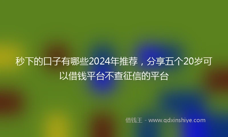 秒下的口子有哪些2024年推荐，分享五个20岁可以借钱平台不查征信的平台
