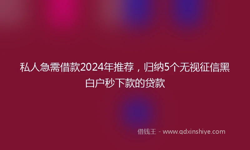 私人急需借款2024年推荐，归纳5个无视征信黑白户秒下款的贷款