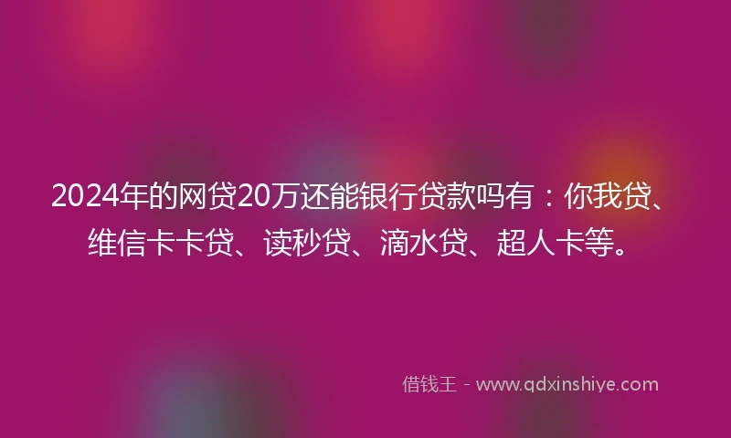 2024年的网贷20万还能银行贷款吗有：你我贷、维信卡卡贷、读秒贷、滴水贷、超人卡等。