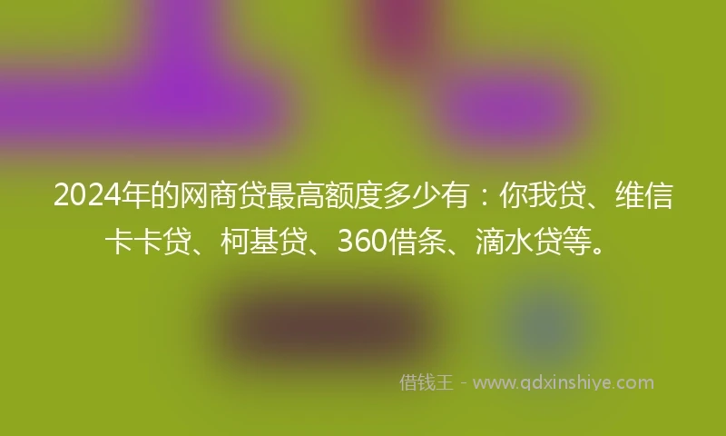 2024年的网商贷最高额度多少有：你我贷、维信卡卡贷、柯基贷、360借条、滴水贷等。