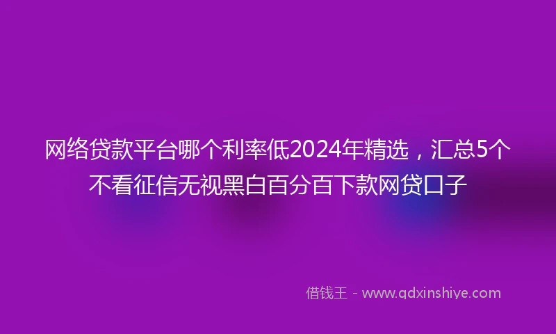 网络贷款平台哪个利率低2024年精选，汇总5个不看征信无视黑白百分百下款网贷口子