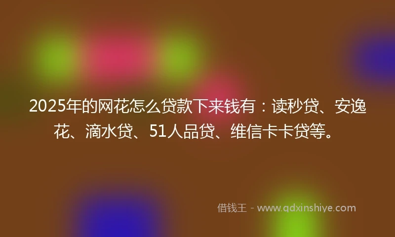 2025年的网花怎么贷款下来钱有：读秒贷、安逸花、滴水贷、51人品贷、维信卡卡贷等。