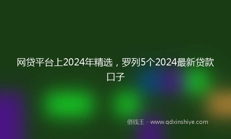 网贷平台上2024年精选，罗列5个2024最新贷款口子