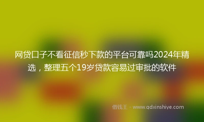 网贷口子不看征信秒下款的平台可靠吗2024年精选，整理五个19岁贷款容易过审批的软件