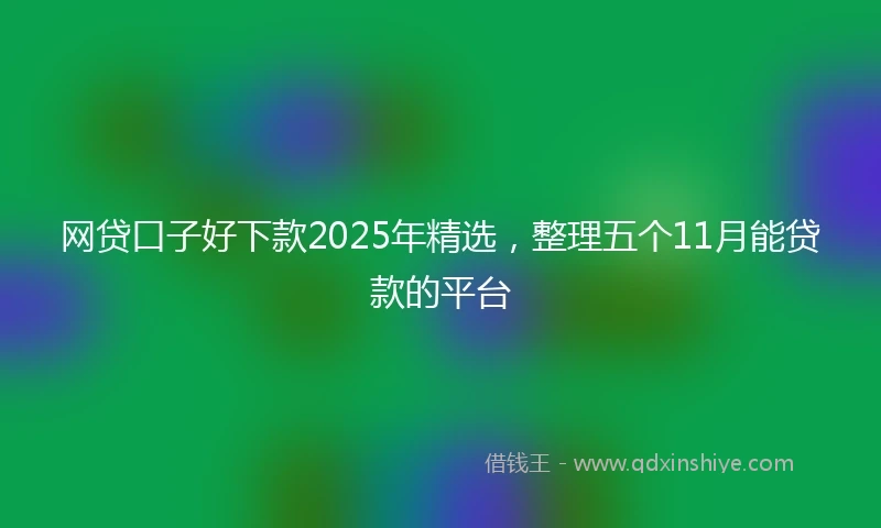 网贷口子好下款2025年精选，整理五个11月能贷款的平台