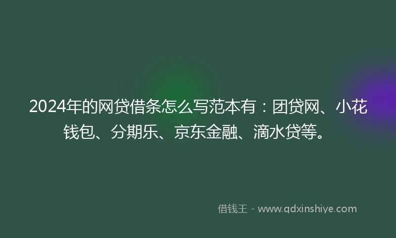 2024年的网贷借条怎么写范本有：团贷网、小花钱包、分期乐、京东金融、滴水贷等。