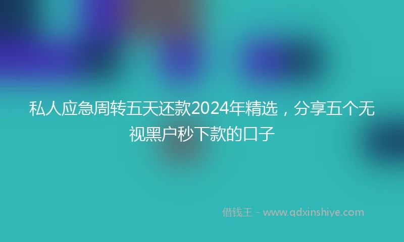 私人应急周转五天还款2024年精选，分享五个无视黑户秒下款的口子