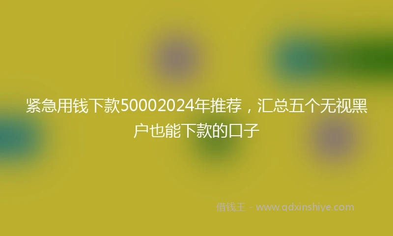 紧急用钱下款50002024年推荐，汇总五个无视黑户也能下款的口子