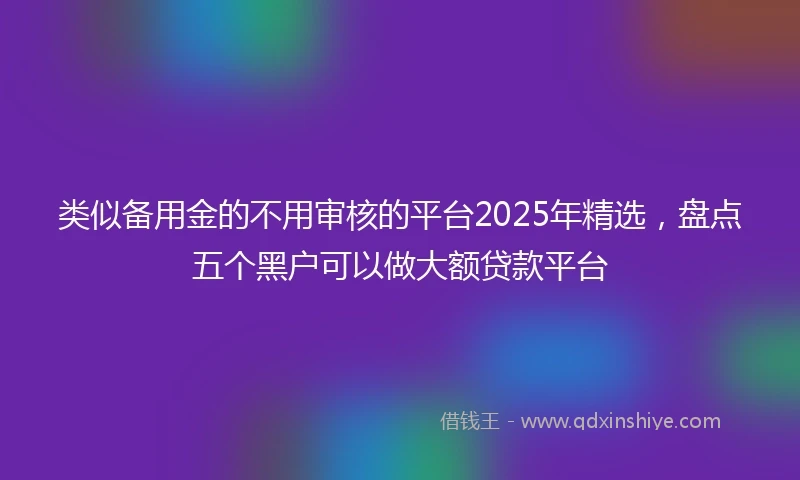 类似备用金的不用审核的平台2025年精选，盘点五个黑户可以做大额贷款平台