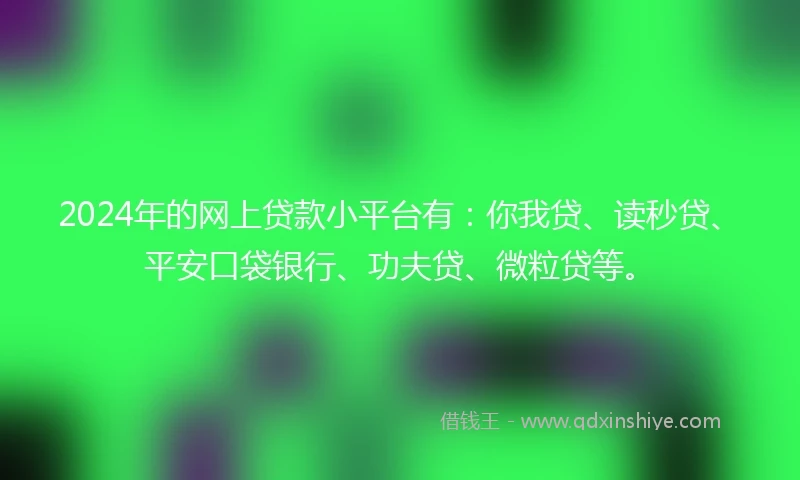 2024年的网上贷款小平台有：你我贷、读秒贷、平安口袋银行、功夫贷、微粒贷等。