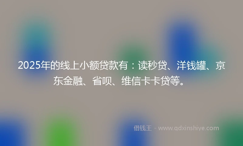 2025年的线上小额贷款有：读秒贷、洋钱罐、京东金融、省呗、维信卡卡贷等。