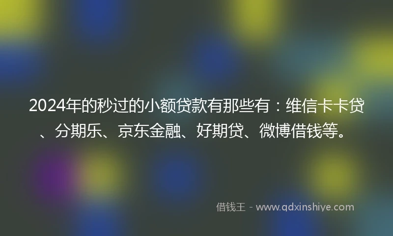2024年的秒过的小额贷款有那些有：维信卡卡贷、分期乐、京东金融、好期贷、微博借钱等。