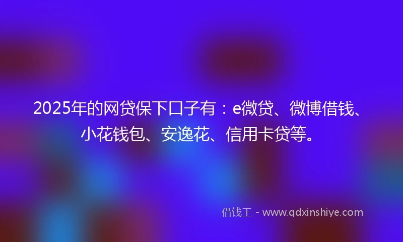 2025年的网贷保下口子有：e微贷、微博借钱、小花钱包、安逸花、信用卡贷等。