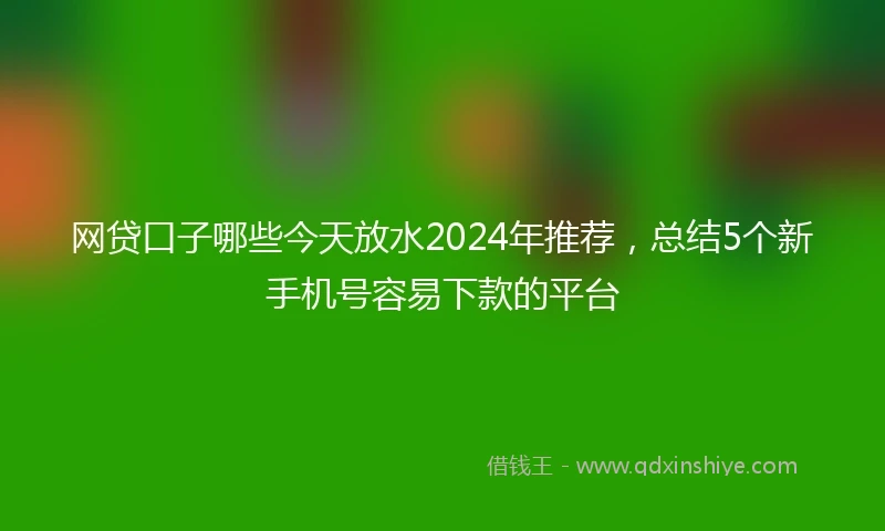 网贷口子哪些今天放水2024年推荐，总结5个新手机号容易下款的平台