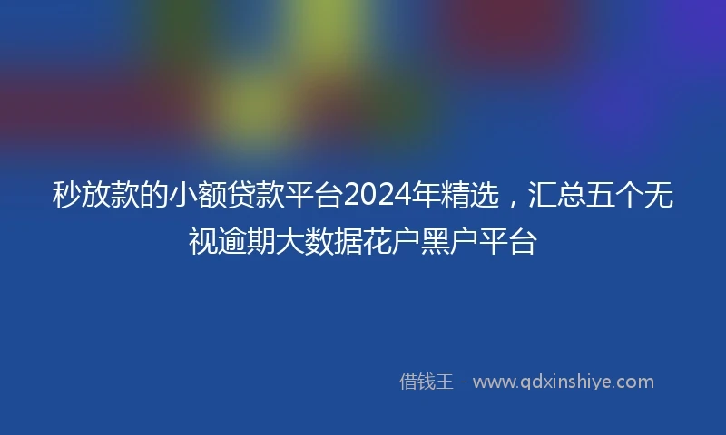 秒放款的小额贷款平台2024年精选，汇总五个无视逾期大数据花户黑户平台