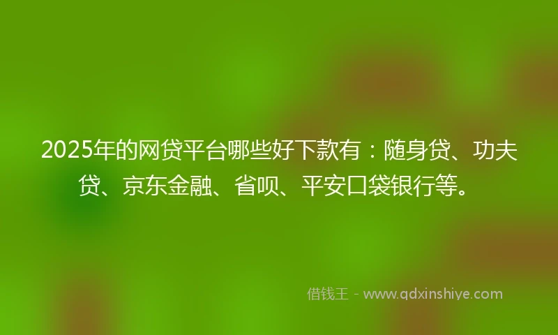 2025年的网贷平台哪些好下款有：随身贷、功夫贷、京东金融、省呗、平安口袋银行等。