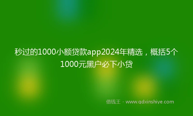 秒过的1000小额贷款app2024年精选，概括5个1000元黑户必下小贷