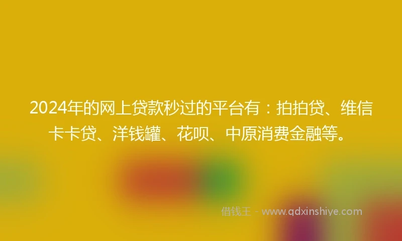 2024年的网上贷款秒过的平台有：拍拍贷、维信卡卡贷、洋钱罐、花呗、中原消费金融等。