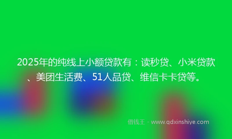 2025年的纯线上小额贷款有：读秒贷、小米贷款、美团生活费、51人品贷、维信卡卡贷等。