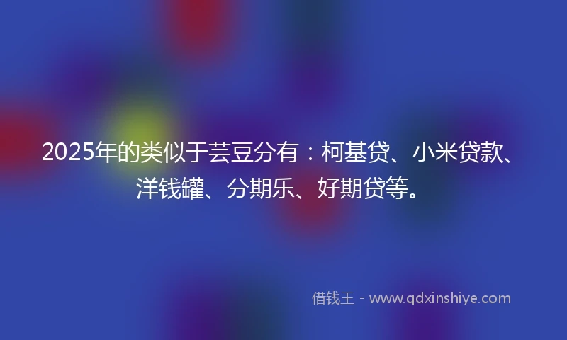 2025年的类似于芸豆分有：柯基贷、小米贷款、洋钱罐、分期乐、好期贷等。