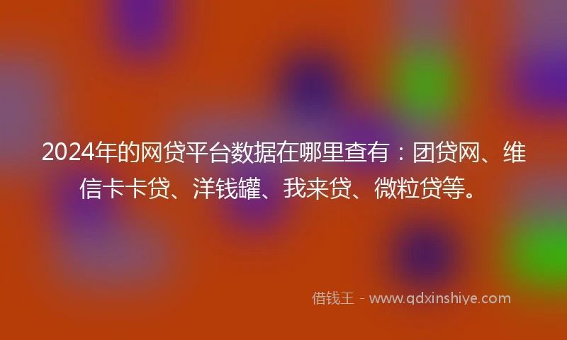 2024年的网贷平台数据在哪里查有：团贷网、维信卡卡贷、洋钱罐、我来贷、微粒贷等。
