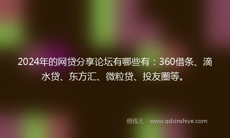 2024年的网贷分享论坛有哪些有：360借条、滴水贷、东方汇、微粒贷、投友圈等。