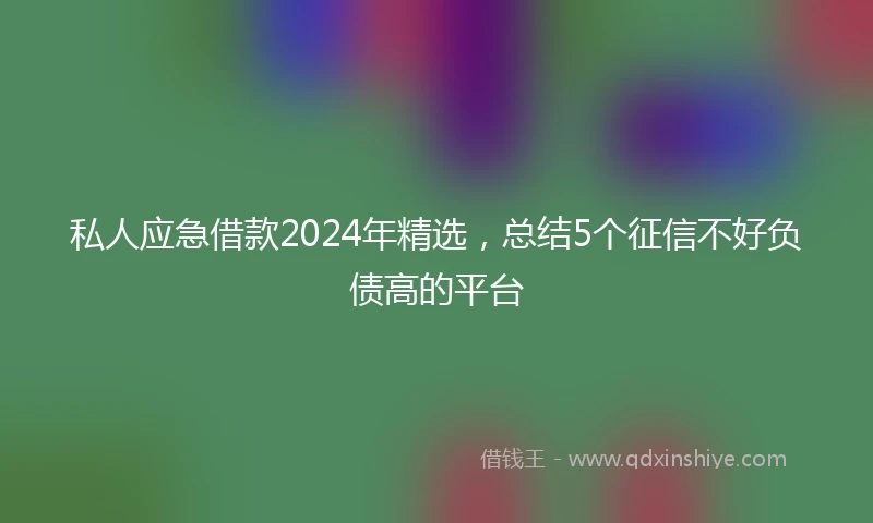 私人应急借款2024年精选，总结5个征信不好负债高的平台