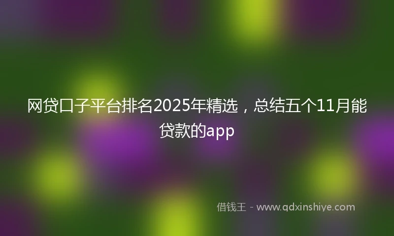 网贷口子平台排名2025年精选，总结五个11月能贷款的app
