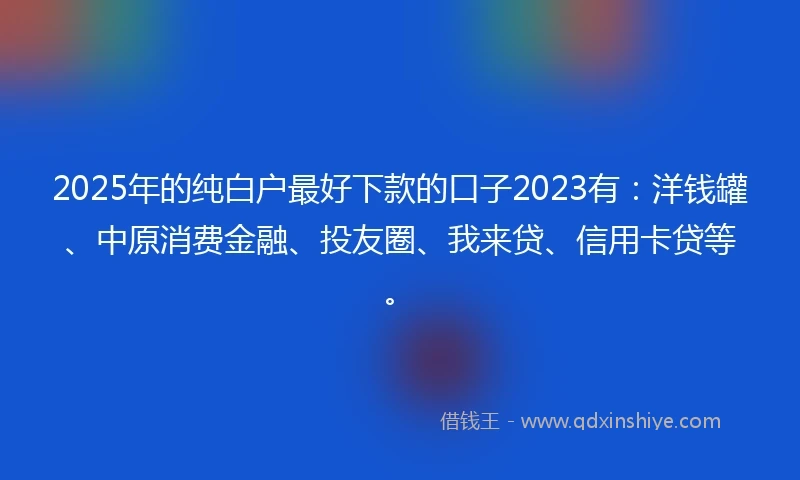 2025年的纯白户最好下款的口子2023有：洋钱罐、中原消费金融、投友圈、我来贷、信用卡贷等。
